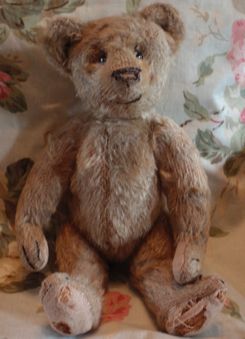 Brenda Yenke Appraises Vintage Bears in Bears and Buds Magazine