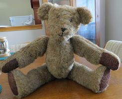 Brenda Yenke Appraises Vintage Bears in Bears and Buds Magazine